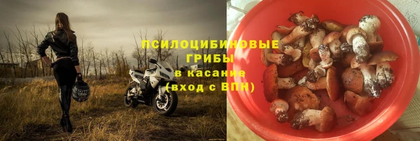 дурь Богородицк