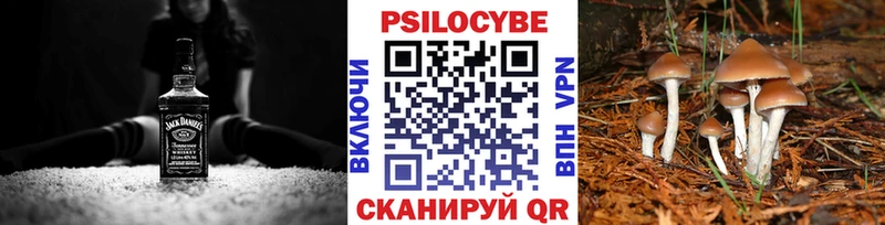 Галлюциногенные грибы Magic Shrooms  продажа наркотиков  Долинск 